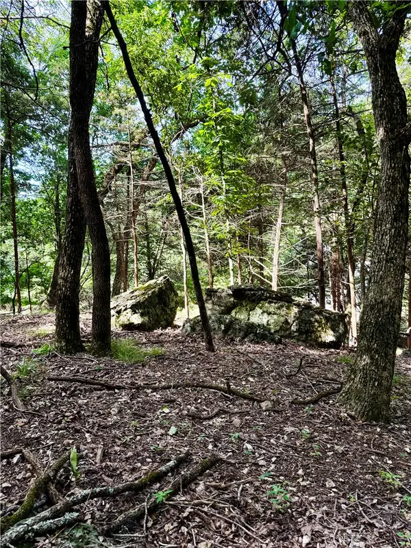 Lot 39 Pine Drive, Garfield, AR 72732