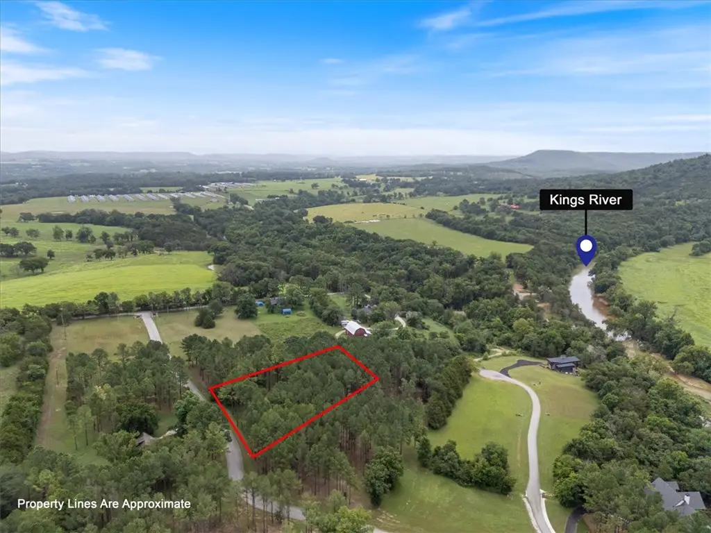 25 Pine Meadow Drive, Berryville, AR 72616 - #1