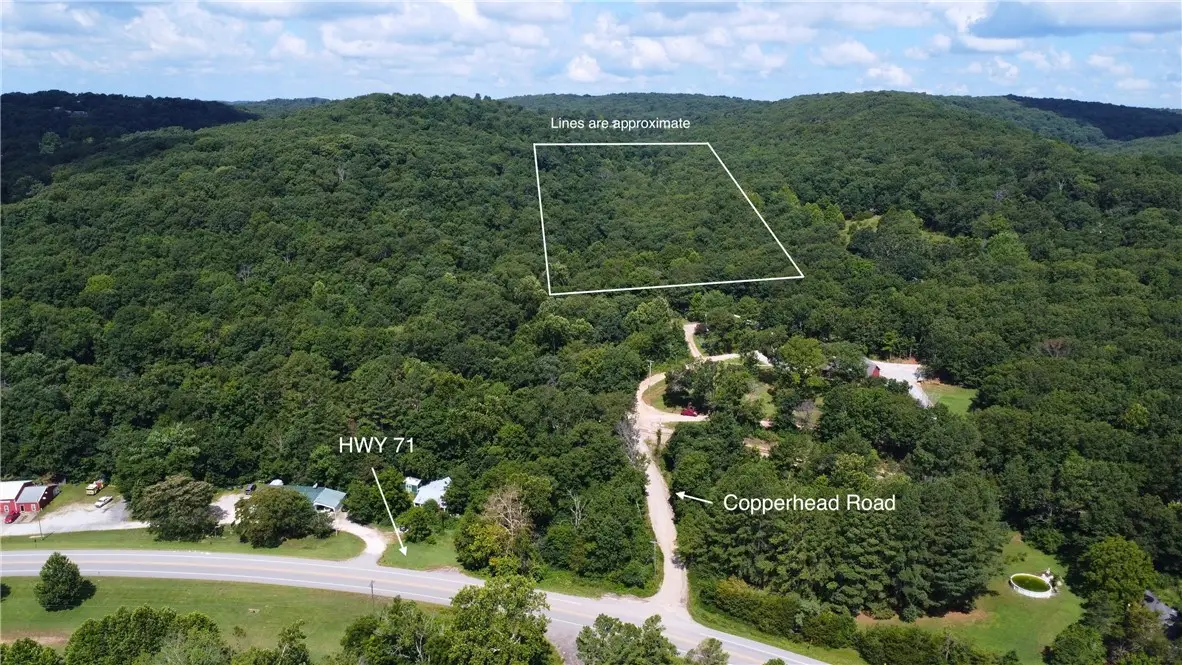 TBD Pine Haven Drive, Winslow, AR 72959 - #1