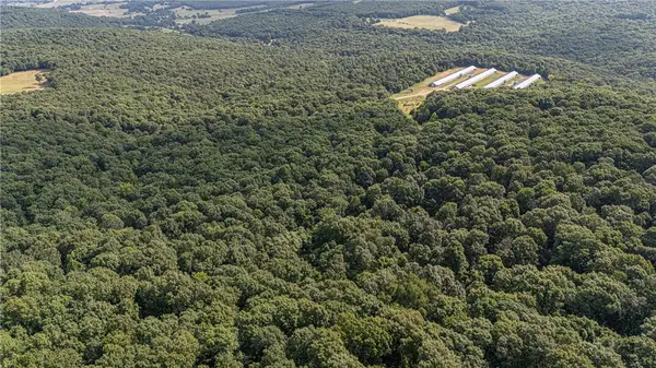 TBD Malico Mountain Road, West Fork, AR 72774