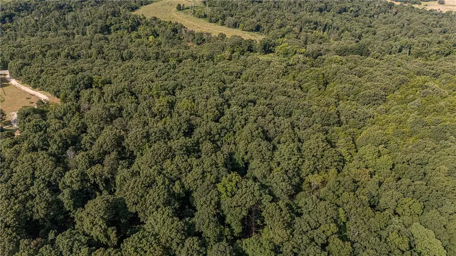 TBD Malico Mountain Road, West Fork, AR 72774 - #2