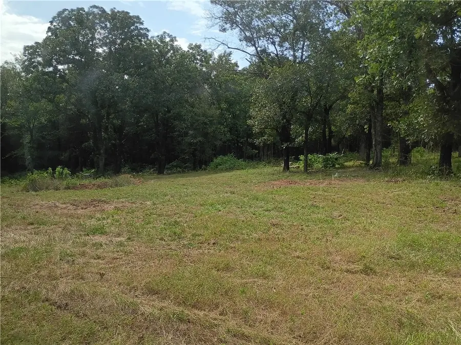 675 Turnbow Lane, Russellville, AR 72802 - #3