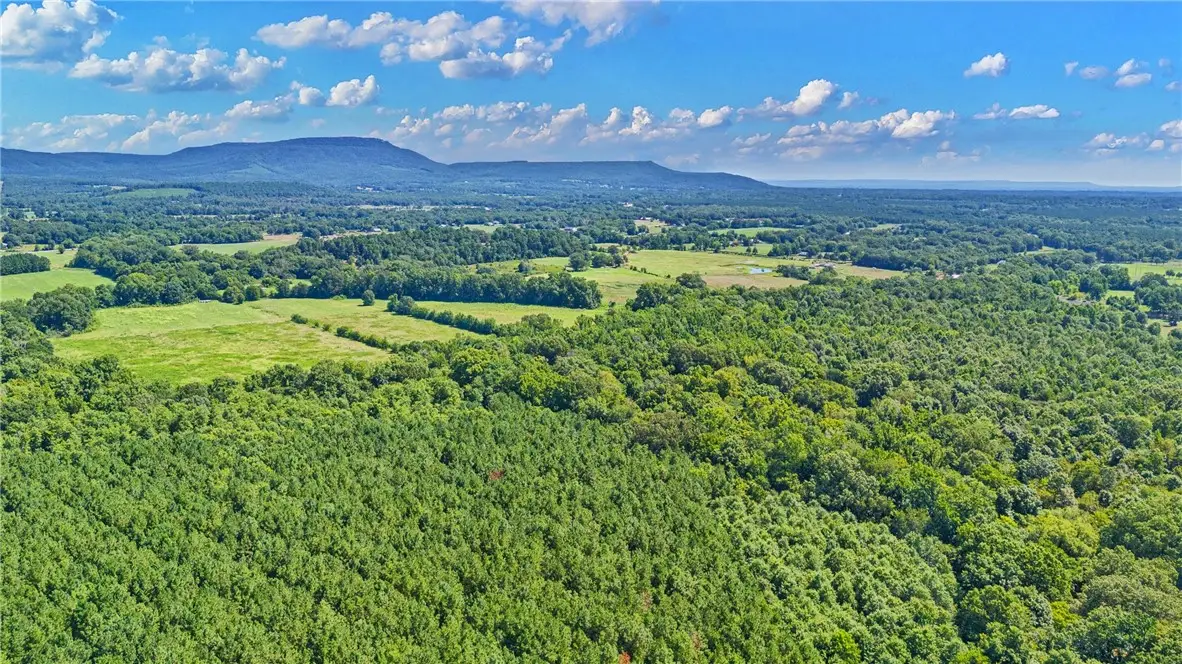10972 A Cowger Lane, Dardanelle, AR 72834 - #1