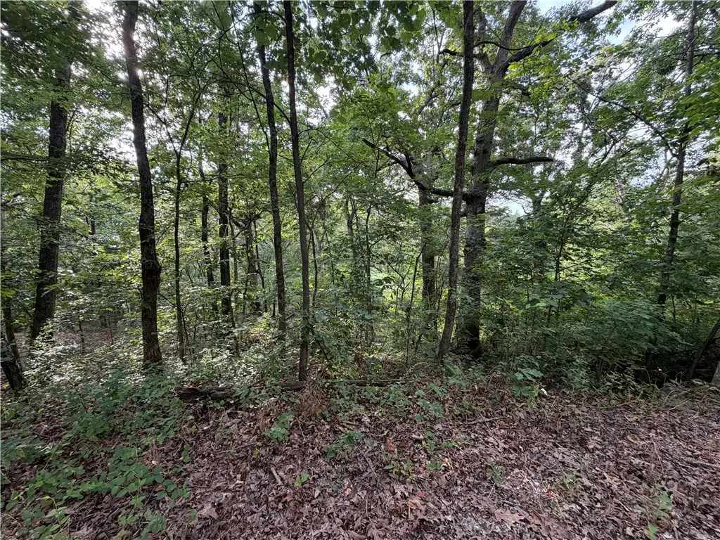 Circle Drive, Huntsville, AR 72740 - #1