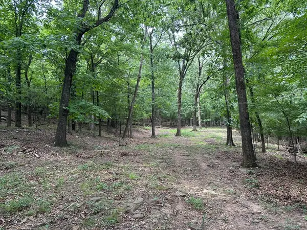 14295 Blue Mountain Road, Prairie Grove, AR 72753