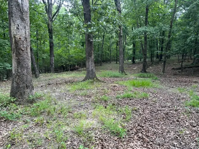 14295 Blue Mountain Road, Prairie Grove, AR 72753 - #3