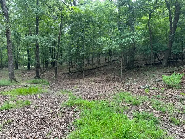 14315 Blue Mountain Road, Prairie Grove, AR 72753 - #1