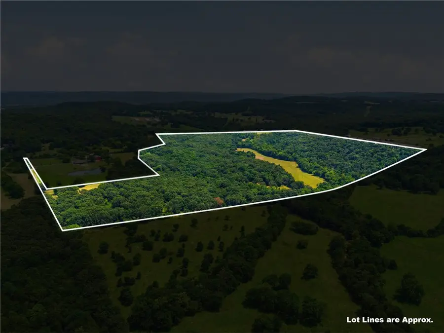 11373 Colcleasure (wc 135) Road #106 Acres, Fayetteville, AR 72701 - #3