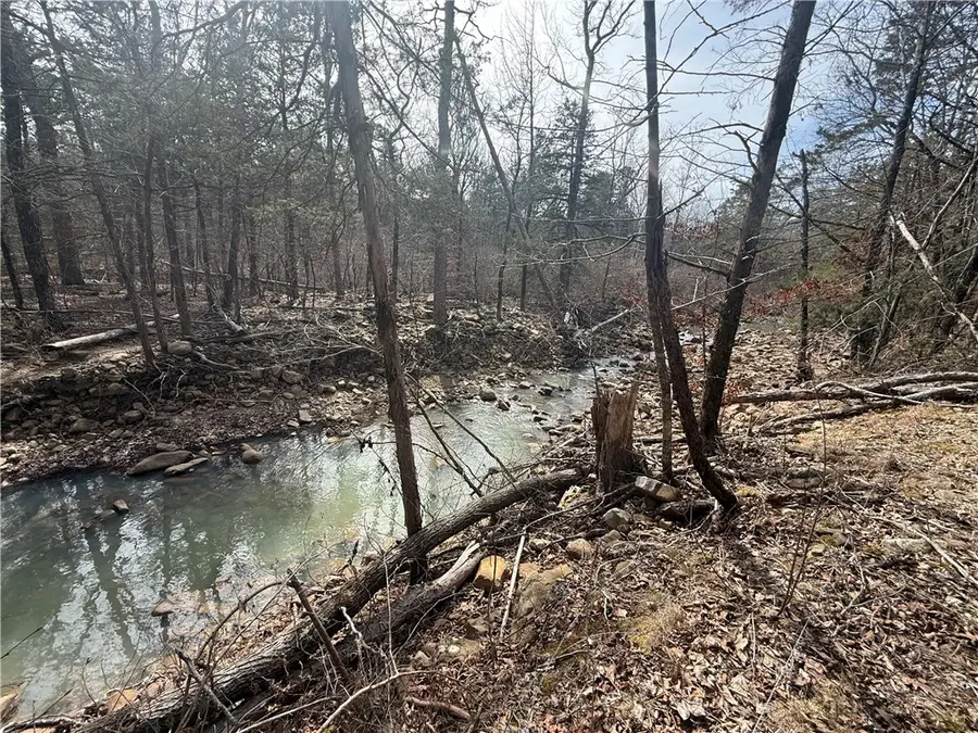 000 Pea Ridge Road, Havana, AR 72842 - #2