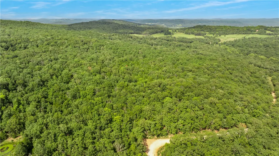80 ac lot Madison 2750, Huntsville, AR 72740 - #1