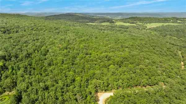 80 ac lot Madison 2750, Huntsville, AR 72740