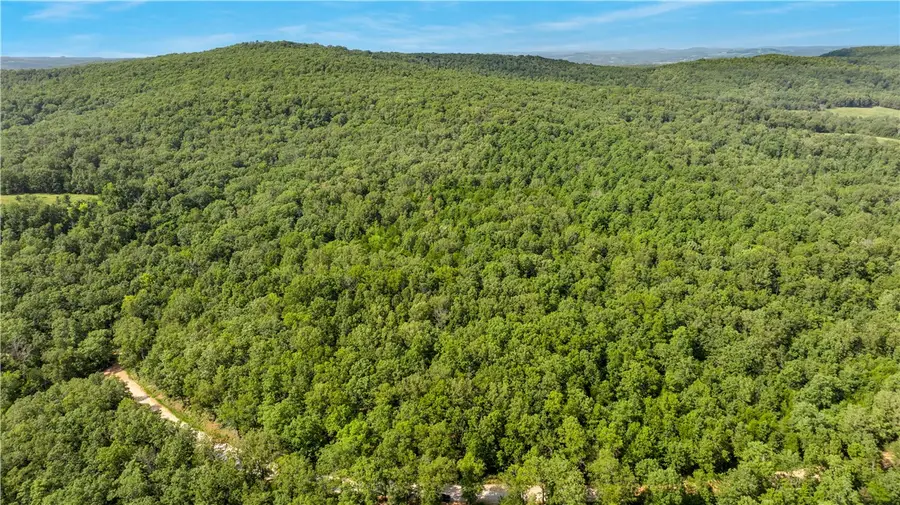 80 ac lot Madison 2750, Huntsville, AR 72740 - #2