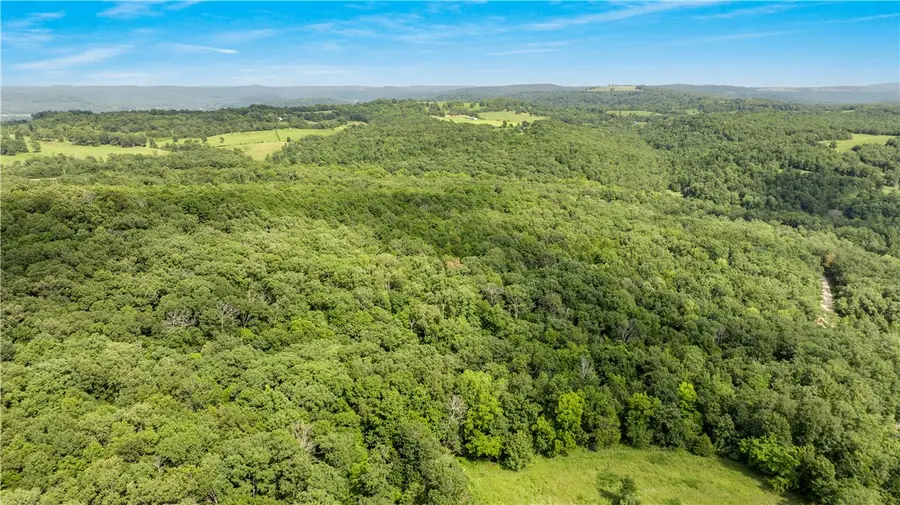 80 ac lot Madison 2750, Huntsville, AR 72740 - #3