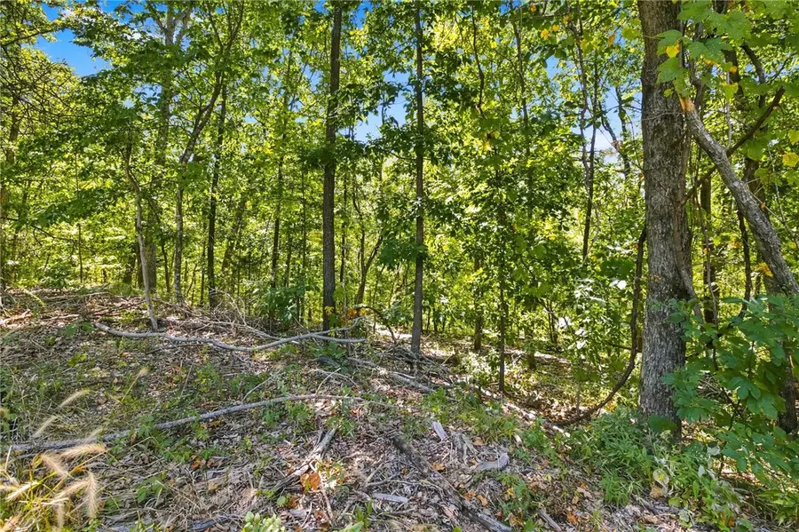 0 Luton Lane, Bella Vista, AR 72714 - #2