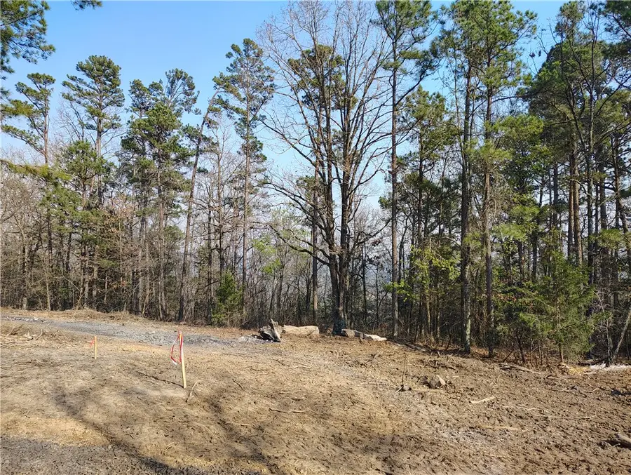 Address Withheld By Seller, Dover, AR 72837 - #2