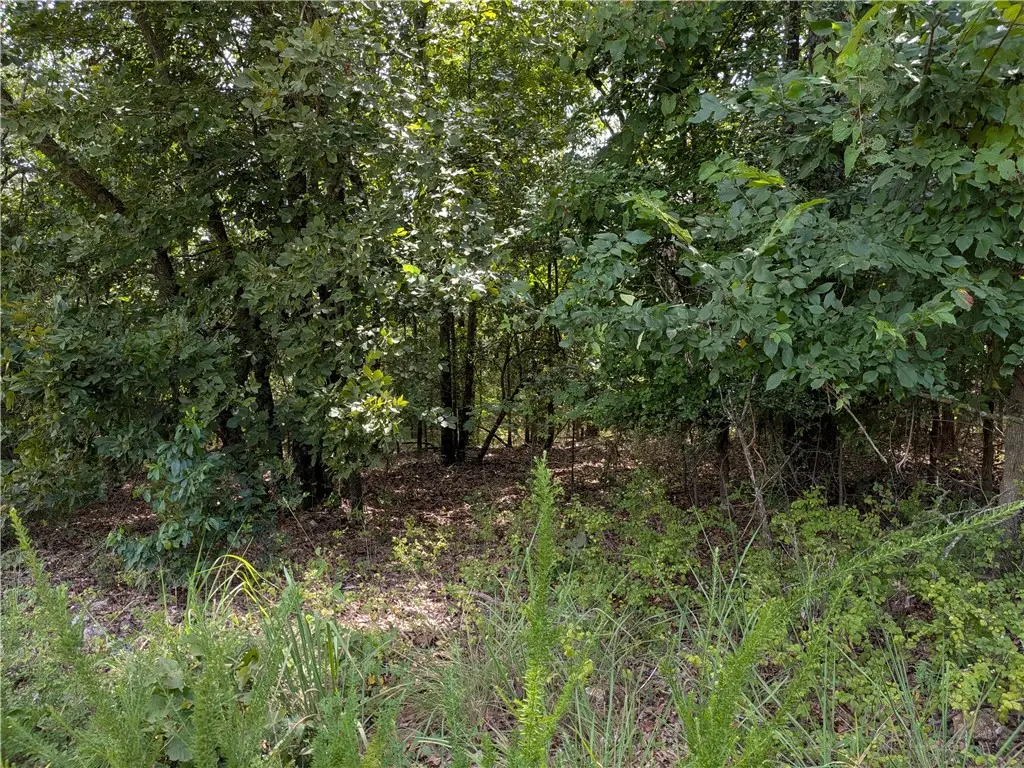 000 Twin Fork Drive, Harrison, AR 72601 - #1