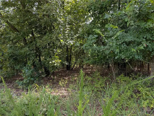 000 Twin Fork Drive, Harrison, AR 72601