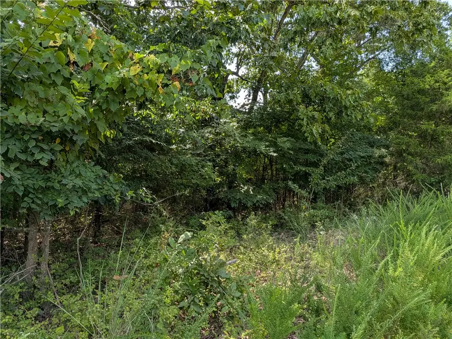 000 Twin Fork Drive, Harrison, AR 72601 - #2