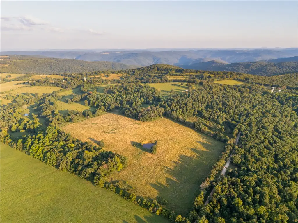 Nc 1650, Harrison, AR 72601 - #1