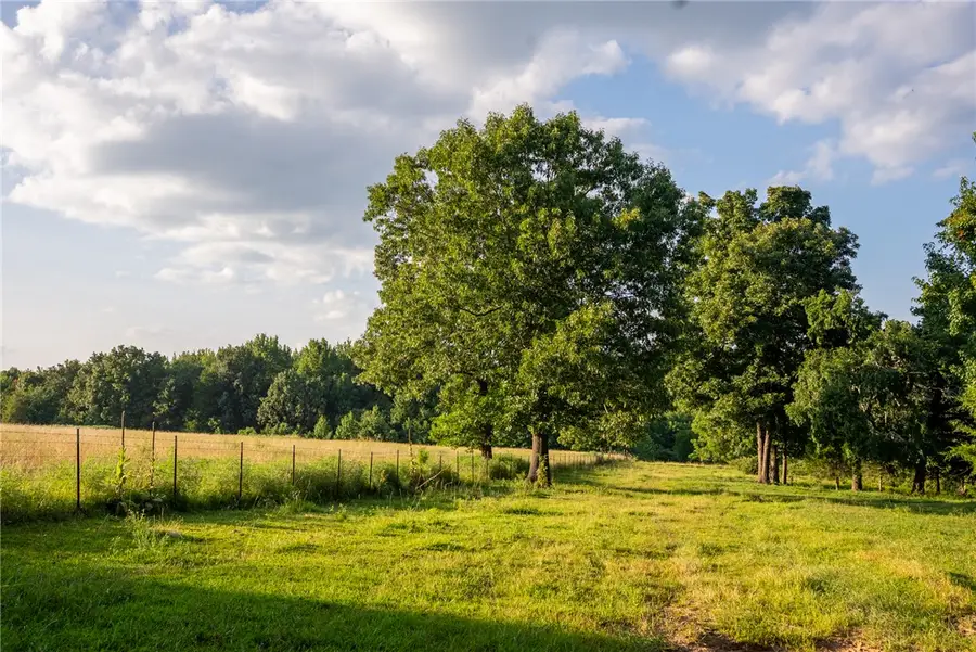 Nc 1650, Harrison, AR 72601 - #3