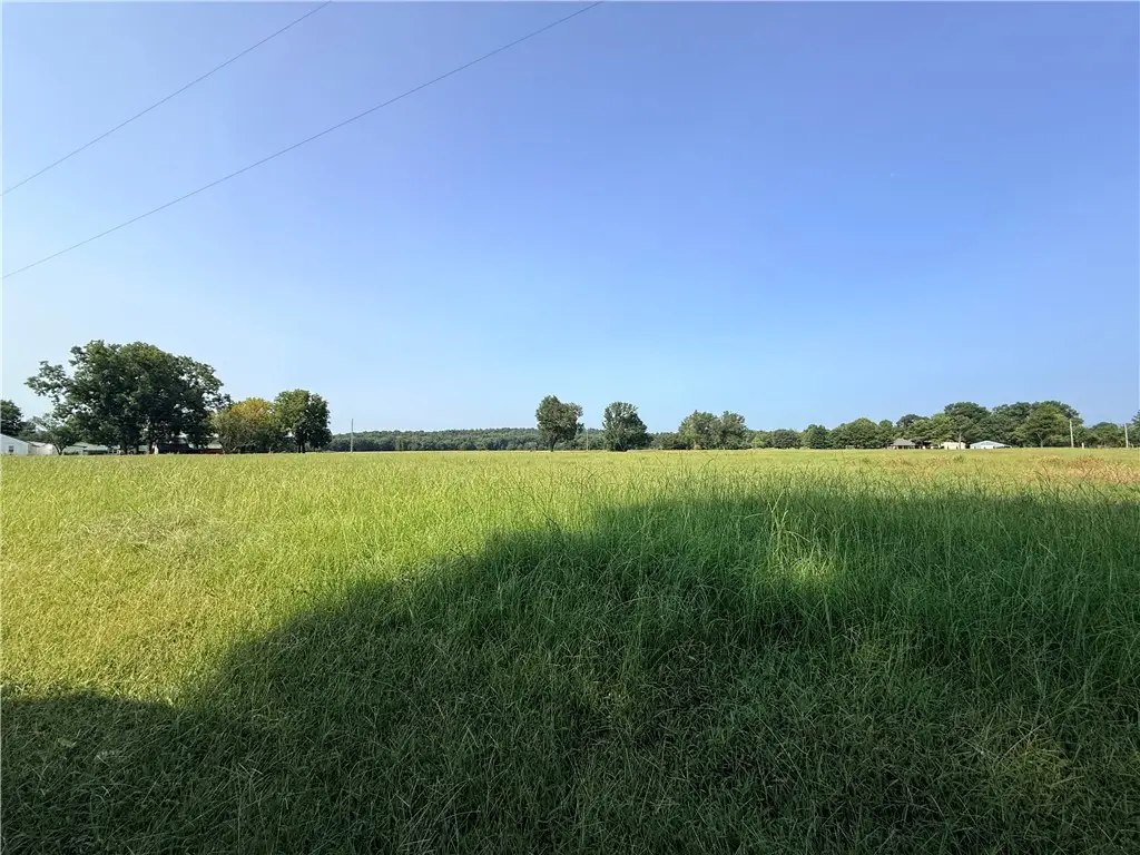 Hwy 307, Belleville, AR 72824 - #1