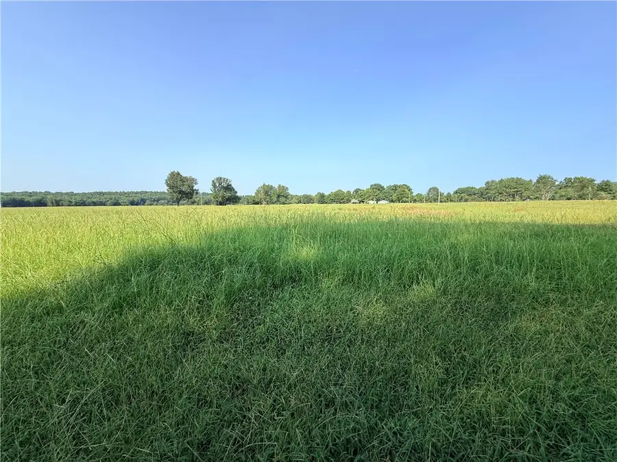 Hwy 307, Belleville, AR 72824 - #2