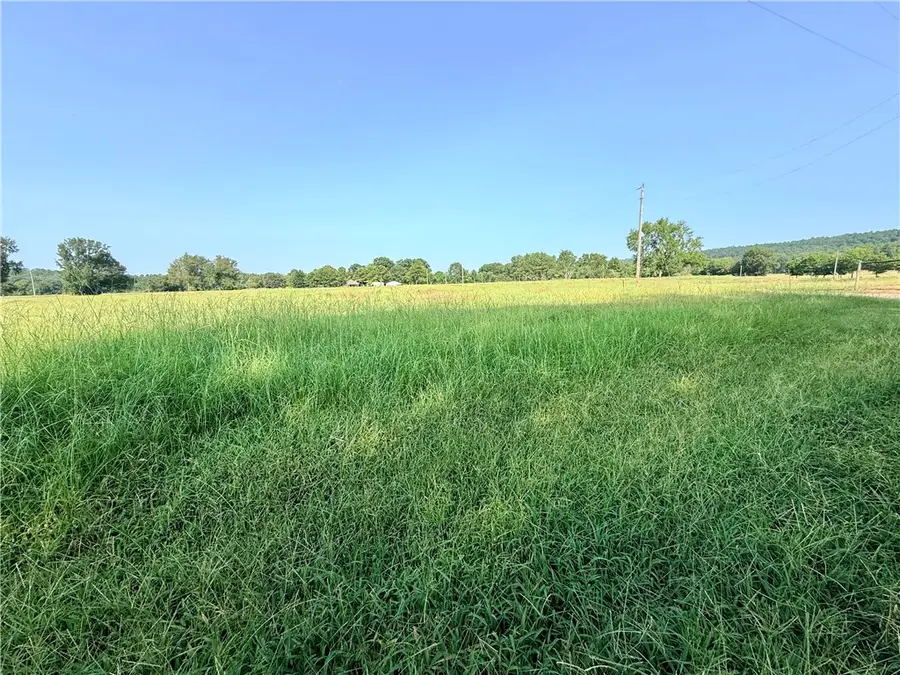 Hwy 307, Belleville, AR 72824 - #3
