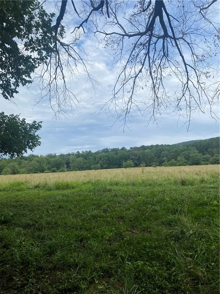 Hwy 215, Oark, AR 72852 - #3