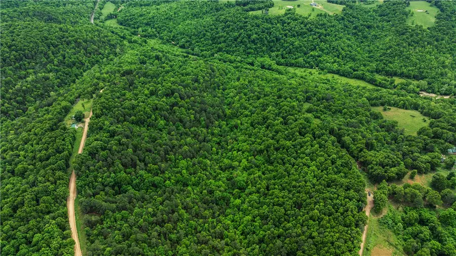 Twin Fork Drive #Tract 22, Harrison, AR 72601 - #3