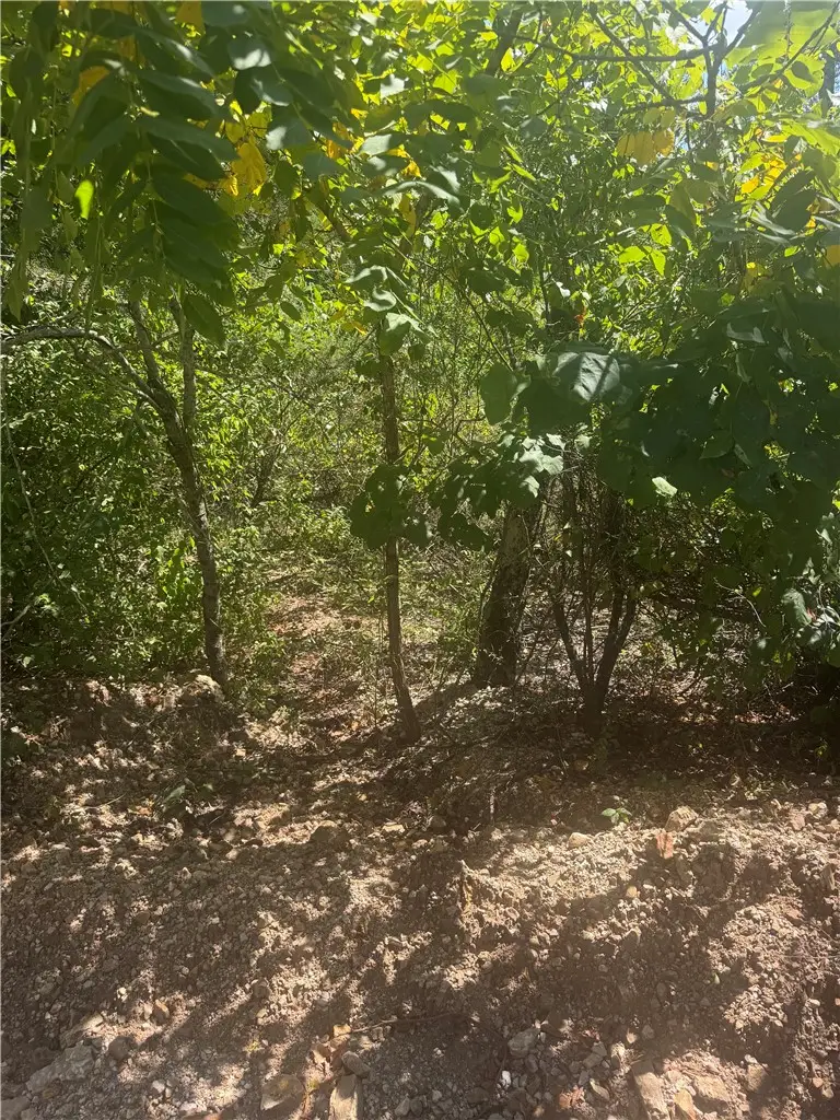 TBD (Lot 25) Cardinal Lane, Diamond City, AR 72644 - #1