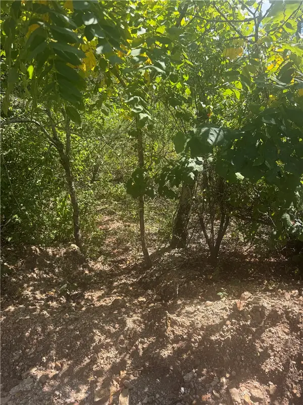 TBD (Lot 25) Cardinal Lane, Diamond City, AR 72644