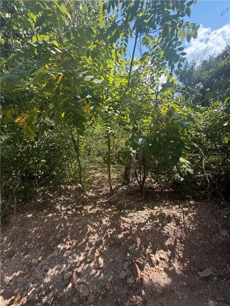 TBD (Lot 25) Cardinal Lane, Diamond City, AR 72644 - #2