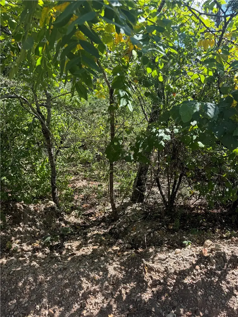TBD (Lot 25) Cardinal Lane, Diamond City, AR 72644 - #3