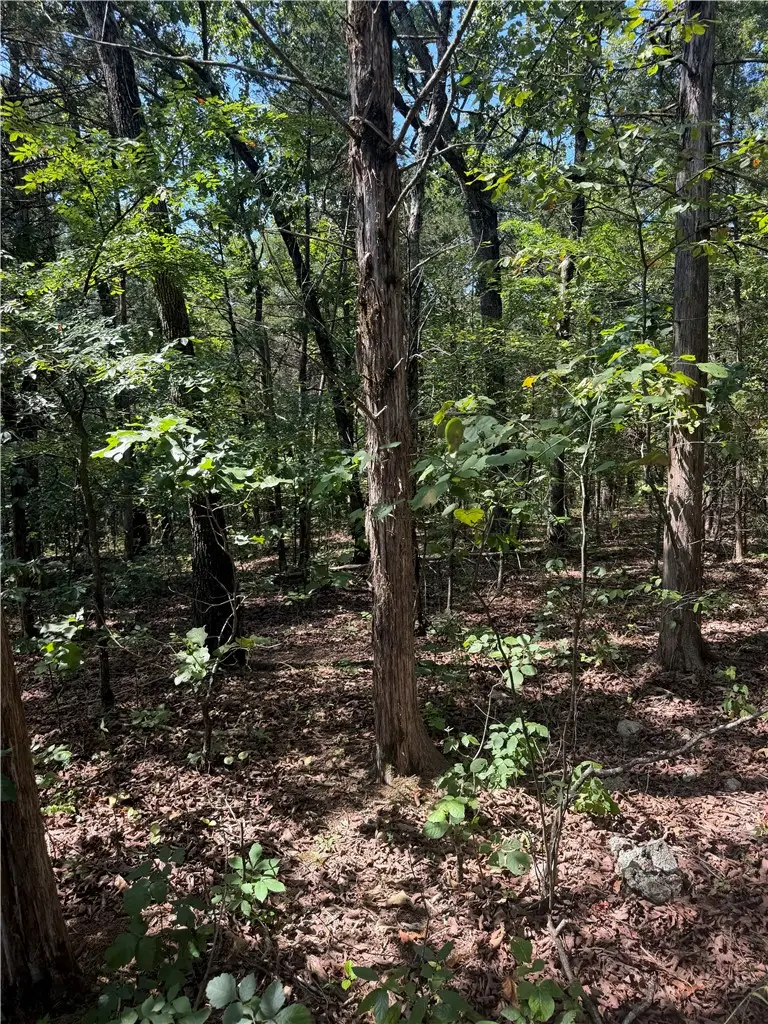 TBD Larchwood Drive, Diamond City, AR 72644 - #1