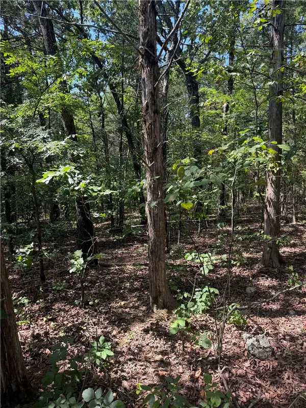 TBD Larchwood Drive, Diamond City, AR 72644