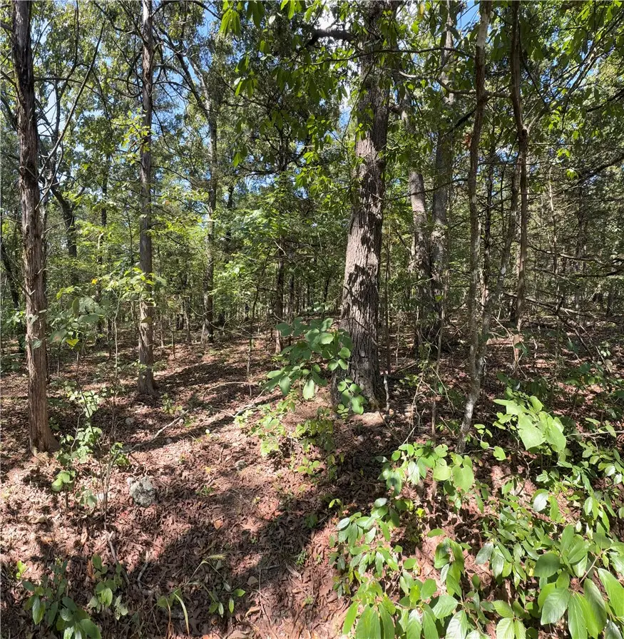TBD Larchwood Drive, Diamond City, AR 72644 - #2