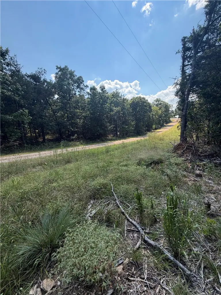 TBD Larchwood Drive, Diamond City, AR 72644 - #3