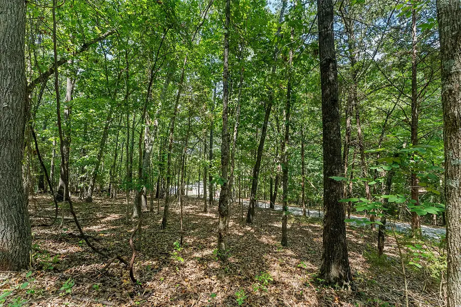 .64 acres War Eagle Blacktop Road, Springdale, AR 72764 - #3