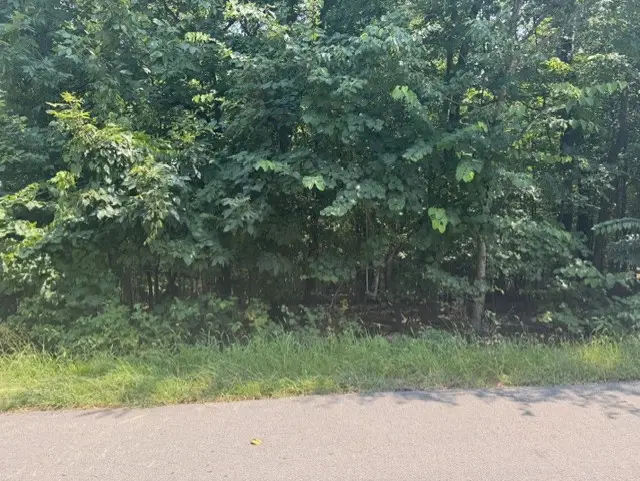 Lot 8 Kintyre Drive, Bella Vista, AR 72715 - #3