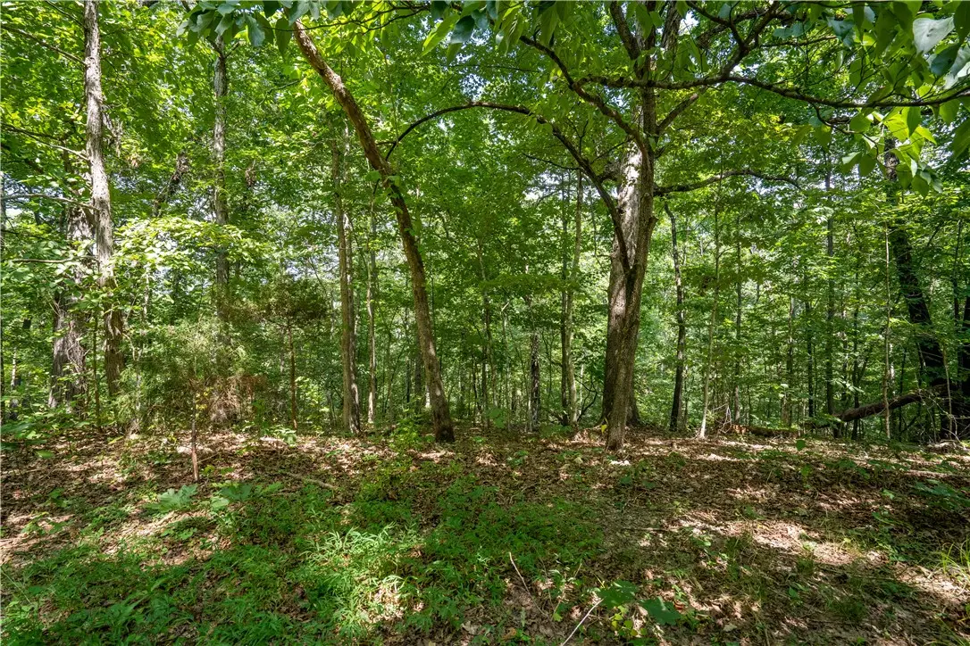 Armitage Drive, Bella Vista, AR 72715 - #1