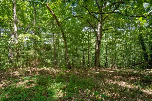 Armitage Drive, Bella Vista, AR 72715