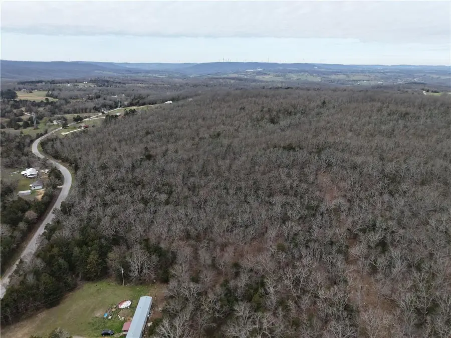 9550 Dunkard Road, Harrison, AR 72601 - #3