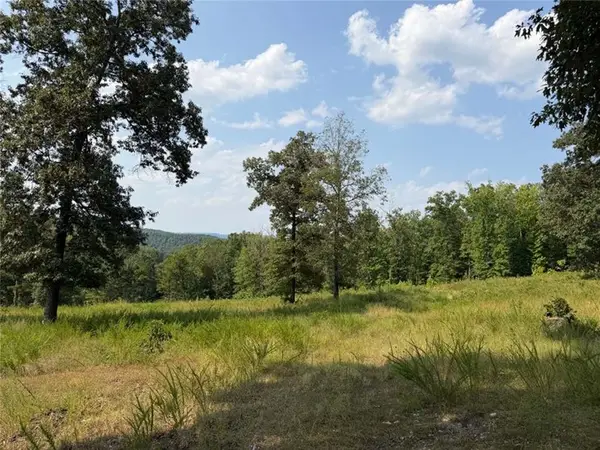 459 Nc 3057, Marble Falls, AR 72648