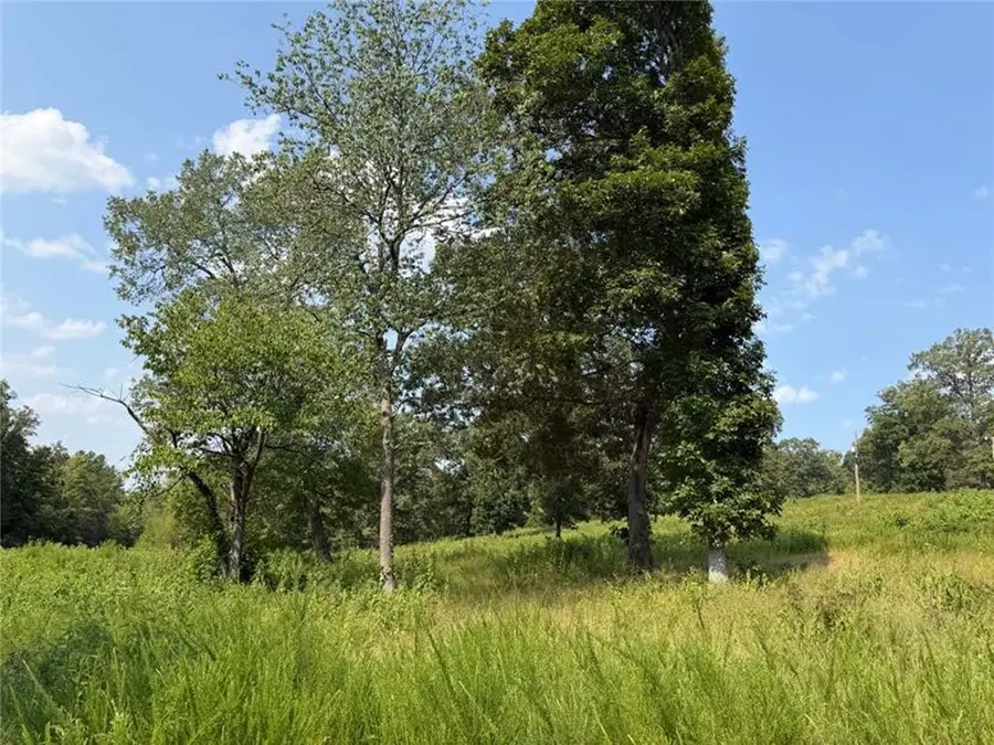 459 Nc 3057, Marble Falls, AR 72648 - #2