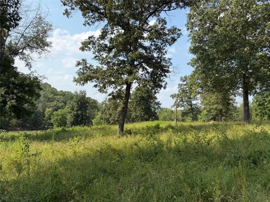 459 Nc 3057, Marble Falls, AR 72648 - #3