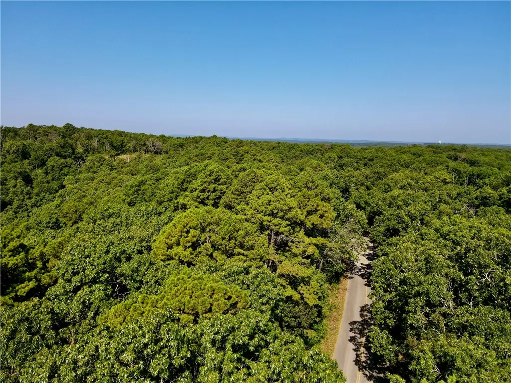 000 County Road 207, Eureka Springs, AR 72632 - #1