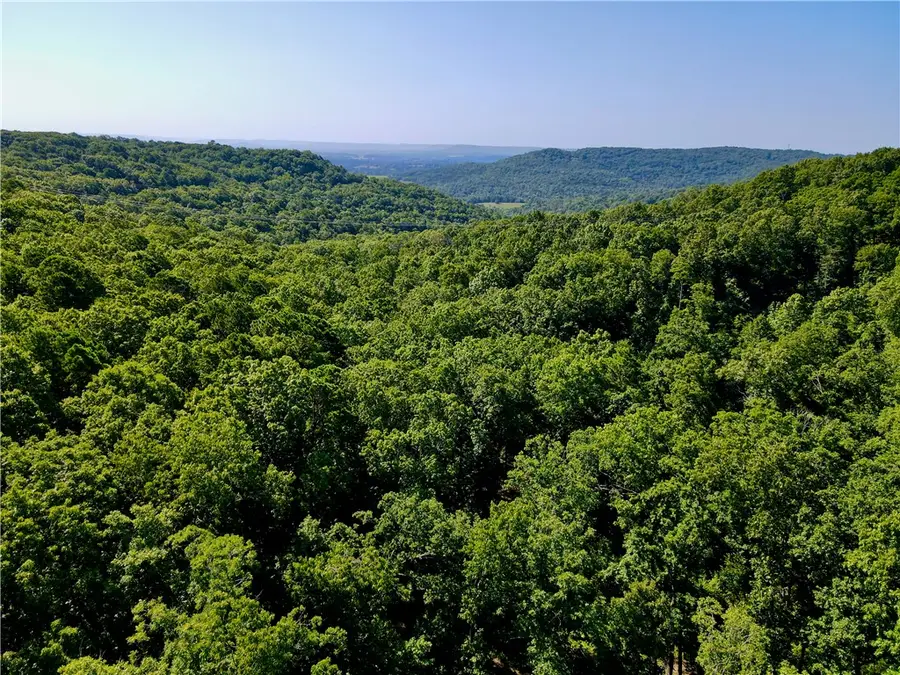 000 County Road 207, Eureka Springs, AR 72632 - #3