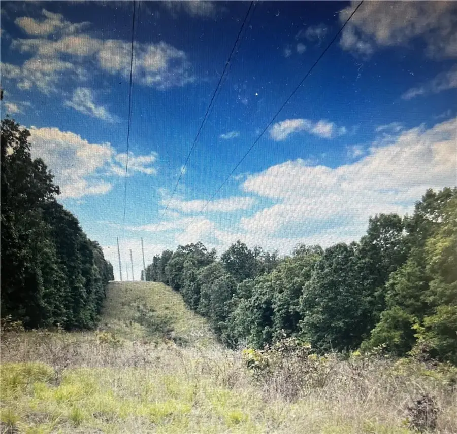 001-00238-002 White Tail Lane, Jordan, AR 72519 - #3