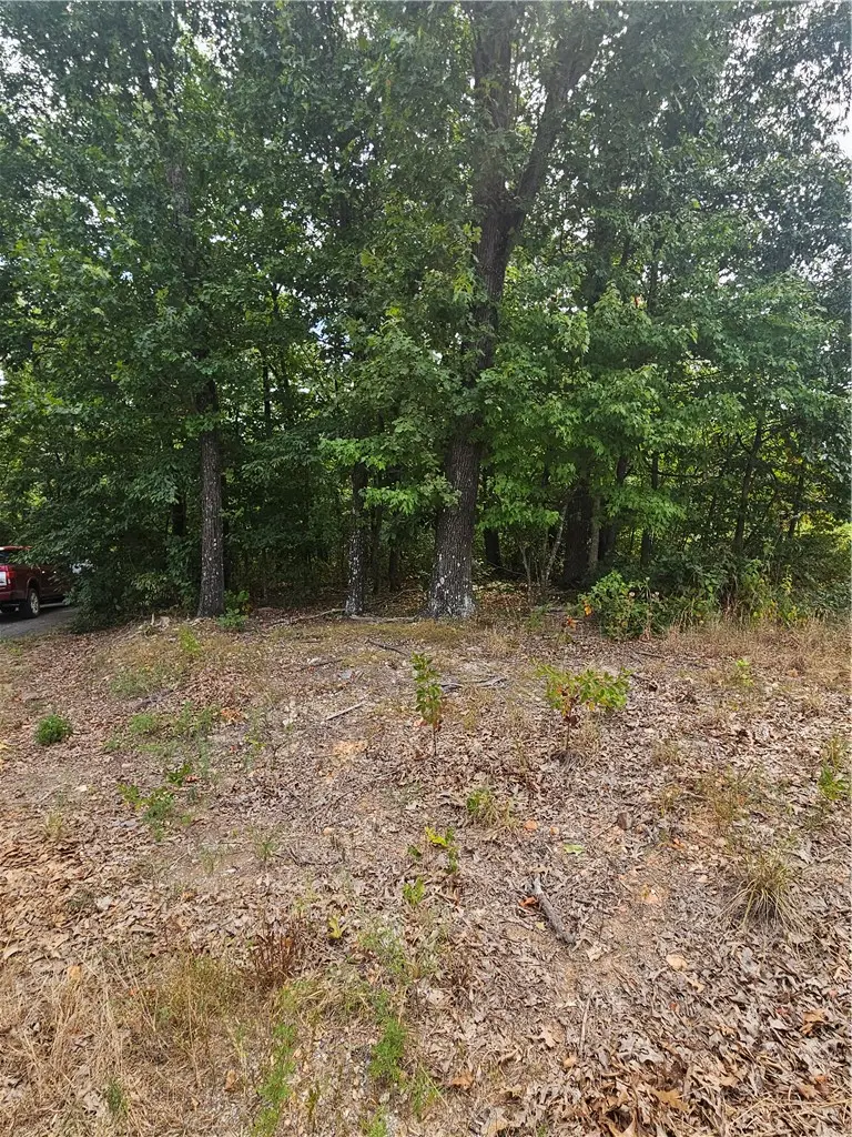 Selkirk Dr/lanark Lane Lane, Bella Vista, AR 72715 - #1