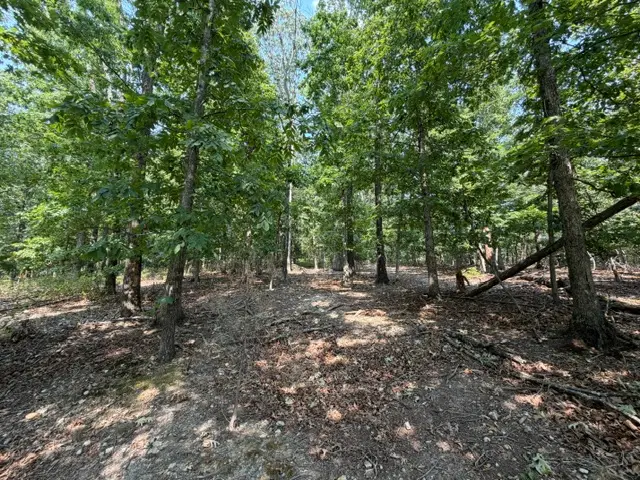 11 Dickenshire Circle, Bella Vista, AR 72714 - #1